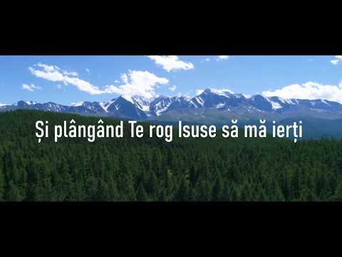 Către Tine - Ligia Bodea official