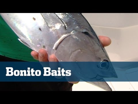 How To Catch Countless Bonito - Florida Sport Fishing TV- Popular Offshore Bait