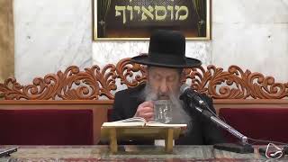 הרב בן ציון מוצפי • פרשת וישב כסלו תש"פ (הרב בן ציון מוצפי) - התמונה מוצגת ישירות מתוך אתר האינטרנט יוטיוב. זכויות היוצרים בתמונה שייכות ליוצרה. קישור קרדיט למקור התוכן נמצא בתוך דף הסרטון