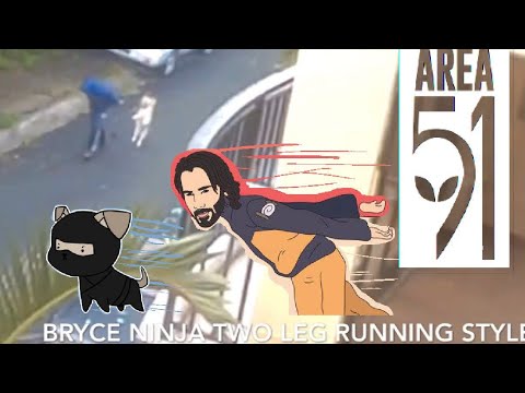 me and my dog Naruto Run to Area 51