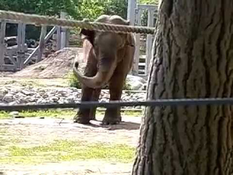 5.29.18 Emily swaying