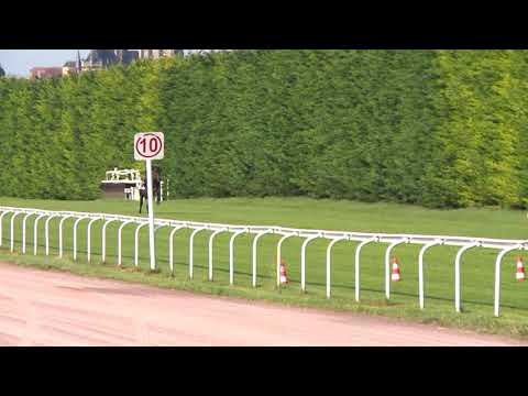 Breeze-Up Osarus 2020 - Lot 18