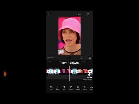 intervista a Gaia Cascino