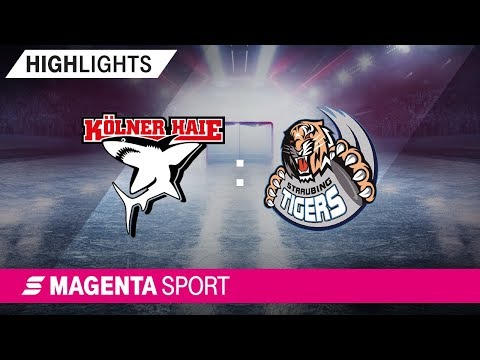 Kölner Haie - Straubing Tigers | 19. Spieltag, 19/20 | MAGENTA SPORT