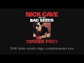 Nick Cave & The Bad Seeds - Slowly Goes the Night | Subtitulada al español