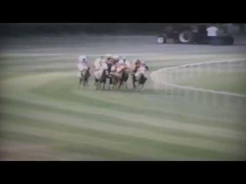 Nagroda Derby - 26.07.1992 - Emael (Palas - Ejnia)