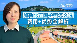 加勒比五国护照怎么选？费用➕优势全解析！加勒比五国护照对比，加勒比小国护照有哪些优势？加勒比护照哪个最划算？加勒比五国对比➕投资成本全解析#加勒比护照 #多米尼克护照#圣基茨护照#圣卢西亚护照