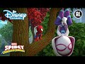 Spidey | Spidey Mysterie?️ | Disney Channel NL