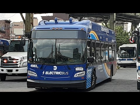 B24 Bus