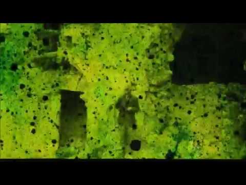 Fred Frith and Hardy Fox - A Prelude