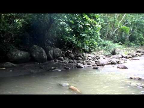 Abkühlung ganz in der Nähe von Takiwasi