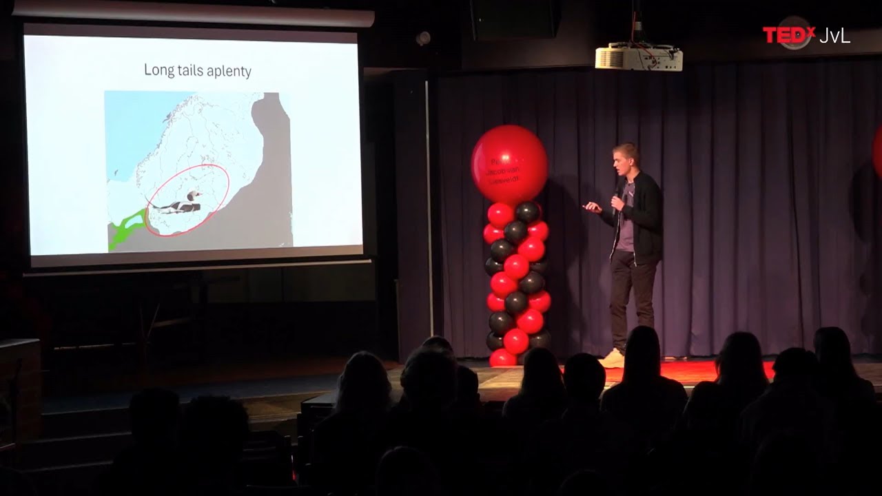 What we can learn from duck fossils | Martijn van der Meer | TEDxJvL Youth