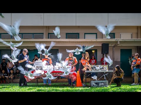 Play Video Youtube Video