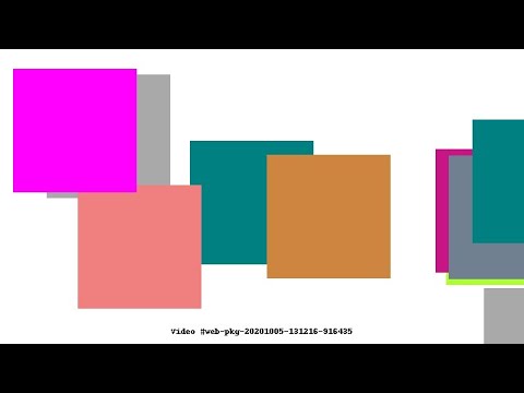 Video #web-pkg-20201005-131216-916435