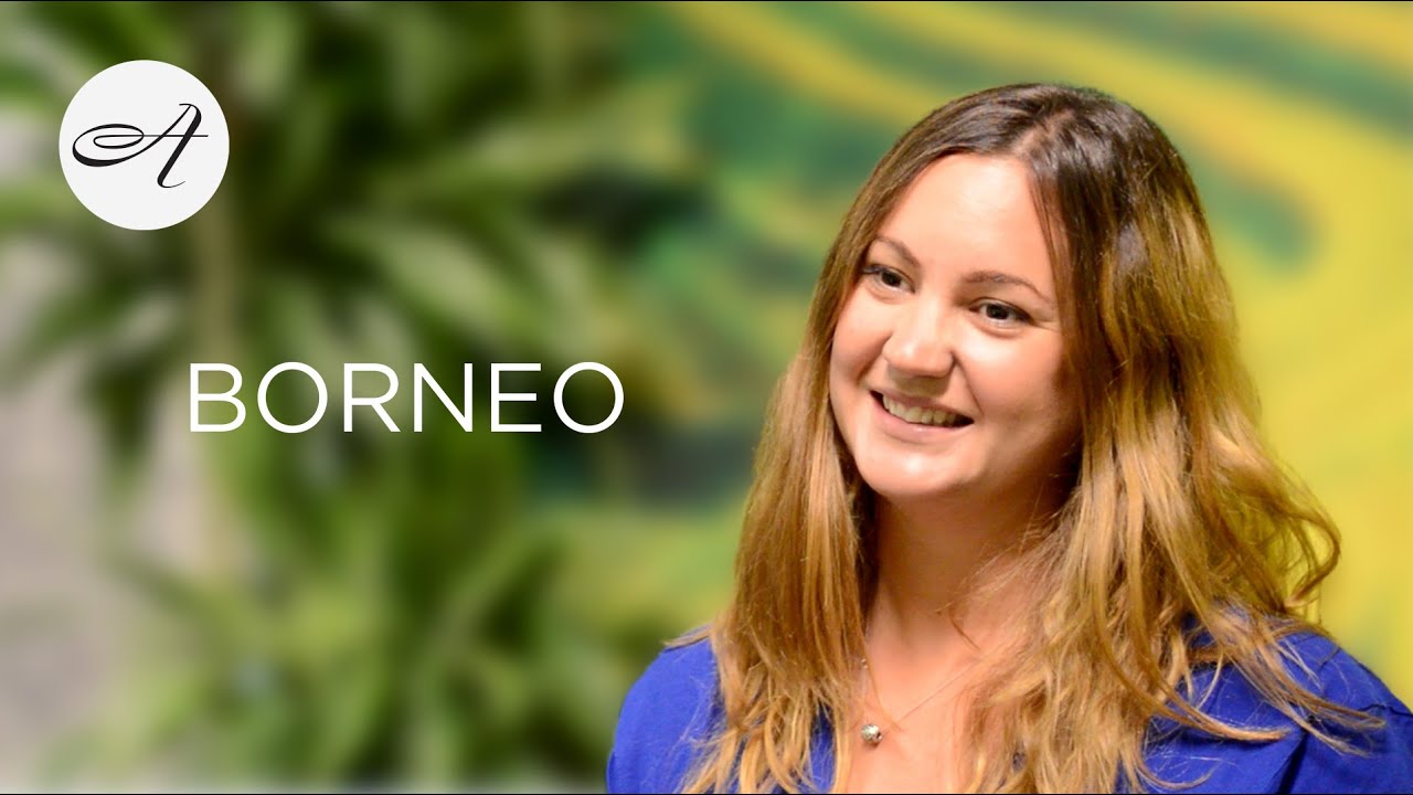 Introducing Borneo