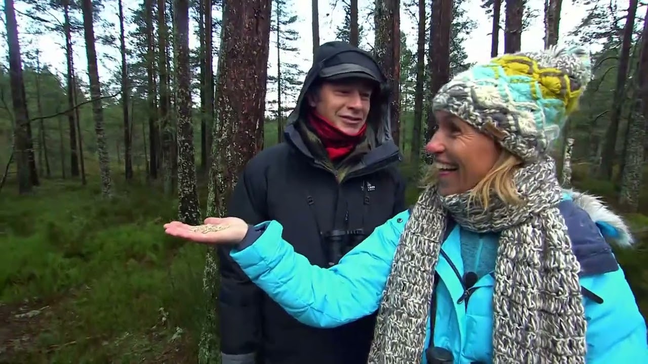 Michaela Strachan - Winterwatch 2019