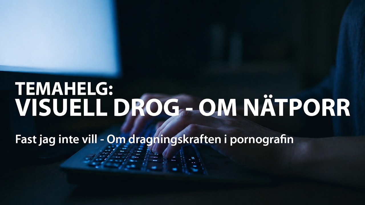 Fast jag inte vill – om dragningskraften i pornografin
