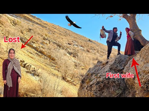 In Search of Lost Love: Mercy Battle Against Plot First Wife, Devil in the Disappearance Butterfly