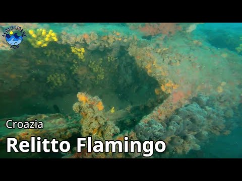 Immersione sul Relitto TB 26 Flamingo | Diving on TB 26 Flamingo Wreck - Relitti della Croazia