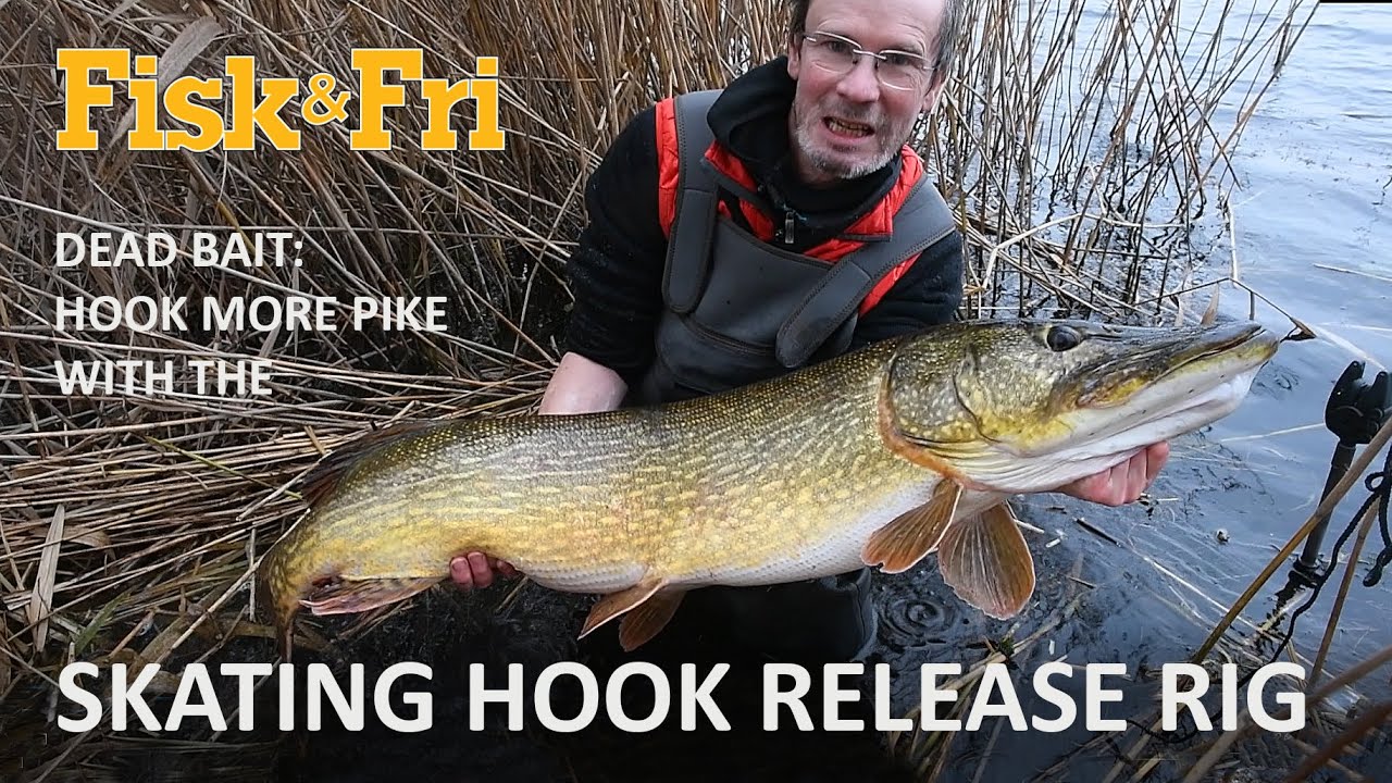 NY GEDDEVIDEO: KROG BEDRE PÅ DØD AGN MED SKATING HOOK RIG