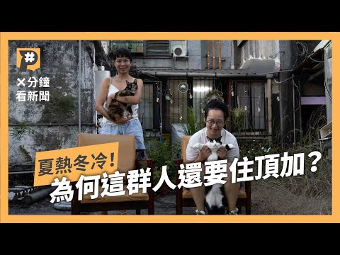 頂樓 加蓋