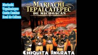 Mariachi Tepalcatepec Canta ---Camino Real de Colima