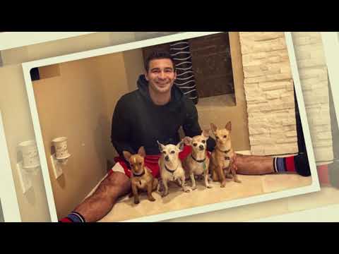 Шоуто на Николаос Цитиридис: Среща с акробата Кристиан Стойнев и неговите кучета