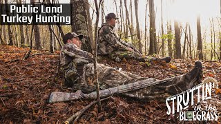 Watch Video - Public Land Turkey Hunting