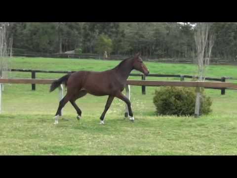 DIARATHA III SET 2016