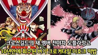 [원피스 1058화 심층분석 1부]크로스길드의 새로운 멤버 도플라밍고 모리아 그리고 10년만에 회수된 버기 미호크 크로커다일 떡밥