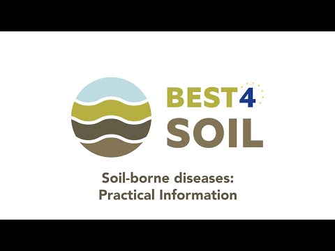 Best4Soil: Soil-borne diseases – Practical Information