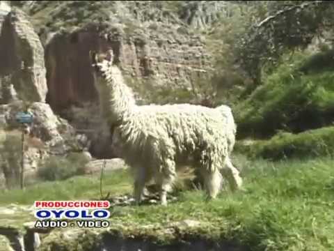 Los Radiantes del SaraSara -Por mas Lejos que me Encuentre(Video Clip - Musica Ayacuchana) Oyolo Pro