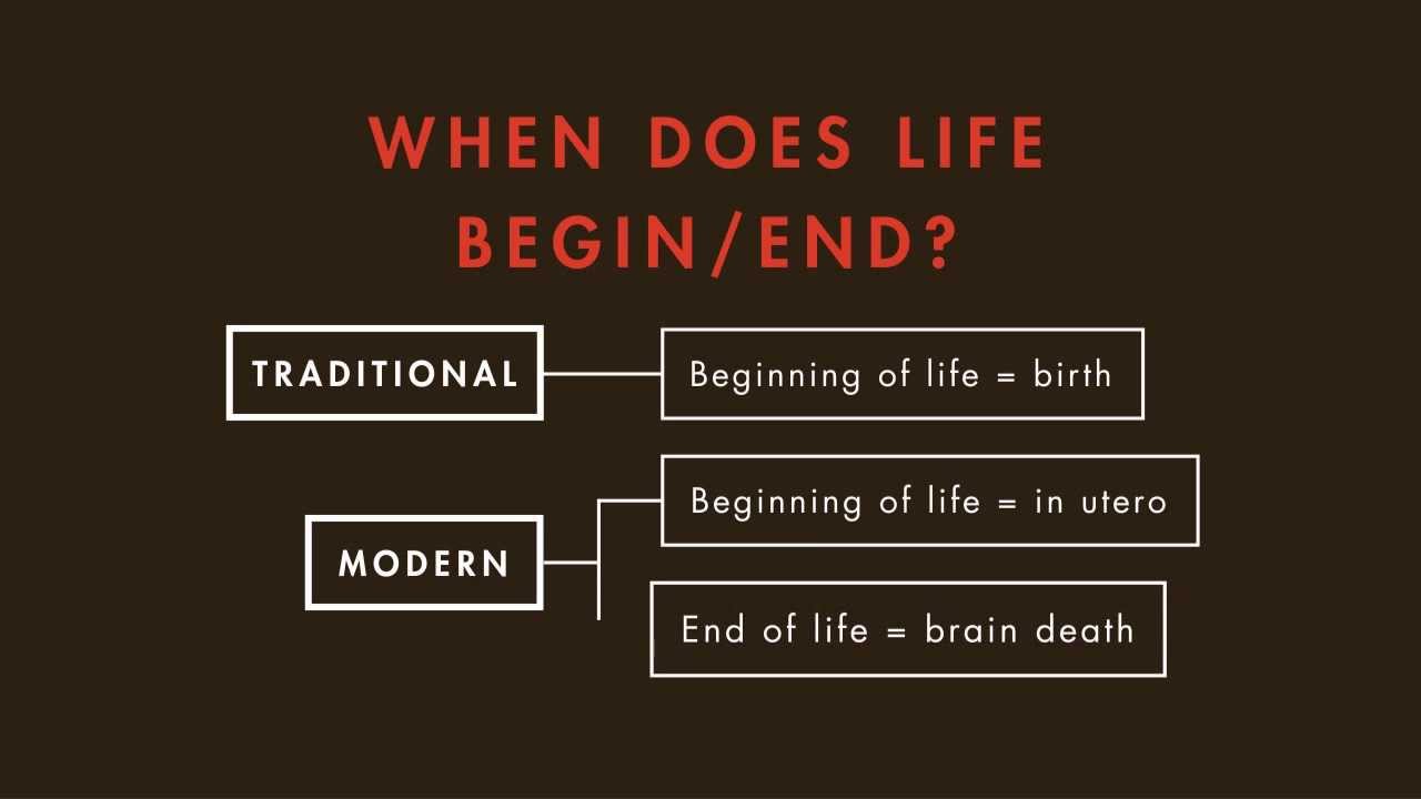 Criminal Law tutorial: Murder | quimbee.com