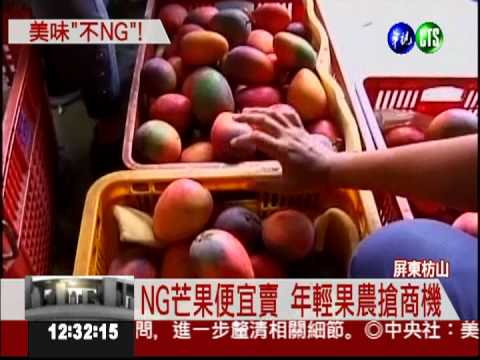 我很醜但很好吃! NG芒果6折賣