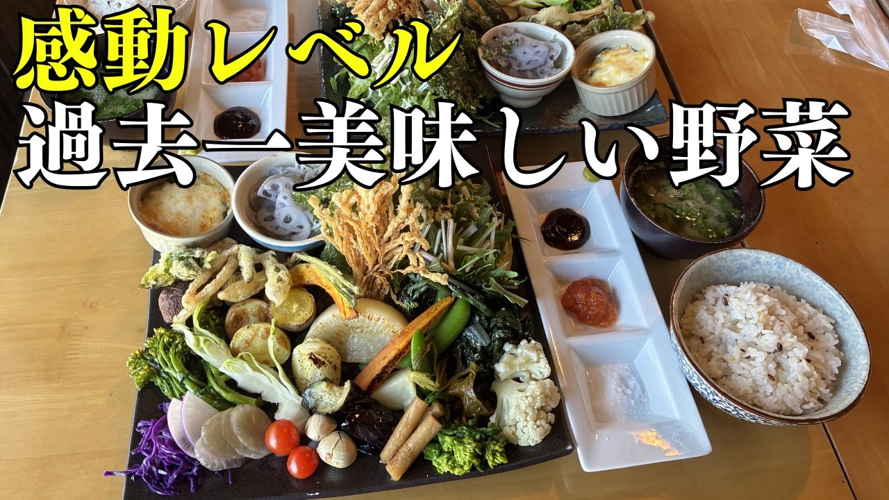 【感動】人生で1度は食べたい古民家の野菜プレート #岐阜 #ランチ #カフェ