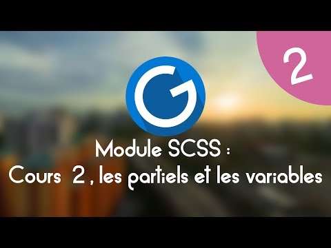 Formation IMM Module SCSS Cours tuto 2 partiels et variables