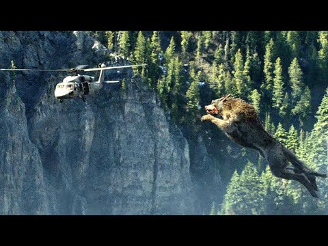 Rampage 2018 Giant Wolf Attack  Movieclips HD