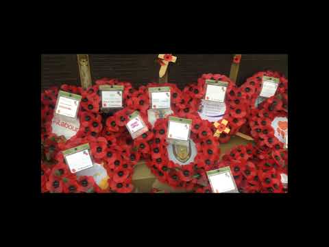 ES Foxtrot   Tigerblood Jewel 1 1