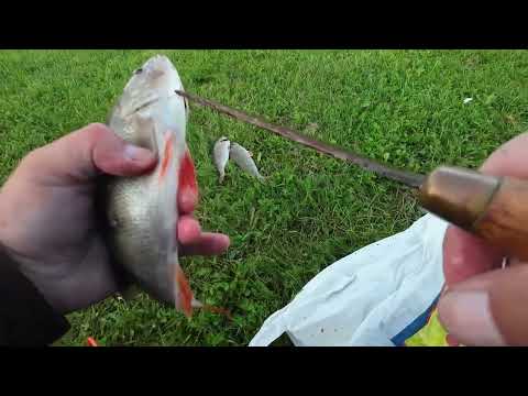 LAITURILLA PILKILLÄ