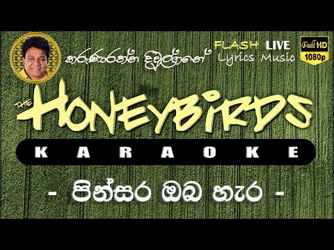 Pinsara Oba Hara Karaoke (Without Voice) පින්සර ඔබ හැර කැරෝකේ