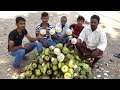 Eating Fresh Toddy Palm Fruit in My Village | Village Style Taati Munjalu  | Street Food Catalog