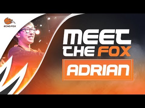 Meet the Fox: Adrian