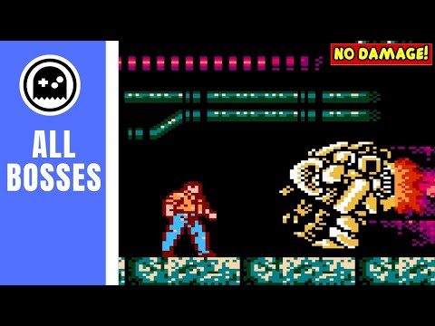 Vice Project Doom (NES) - All Bosses - (No Damage)