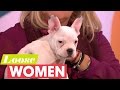 Adorable Deaf Puppy Ernie Joins Linda On The Panel Loose Women