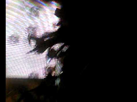 TIESTO@PALASHARP MILANO APERTURA