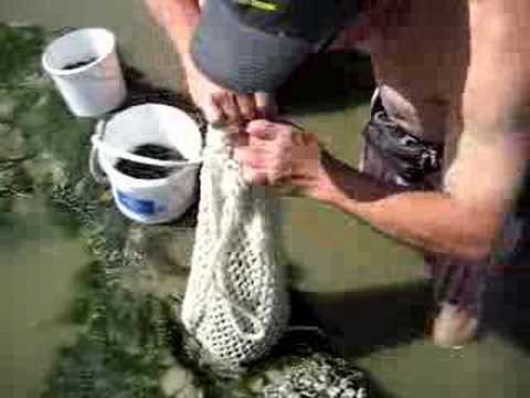 comment nettoyer iode