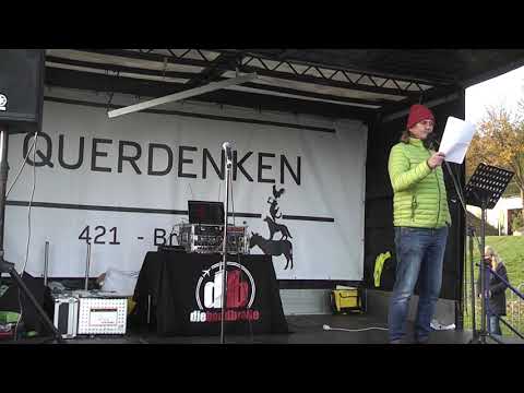 Demo Querdenken 421 Bremen am 07.11.2020 Teil3