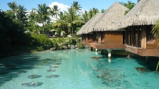 Bora Bora 2016 big Manta Ray
