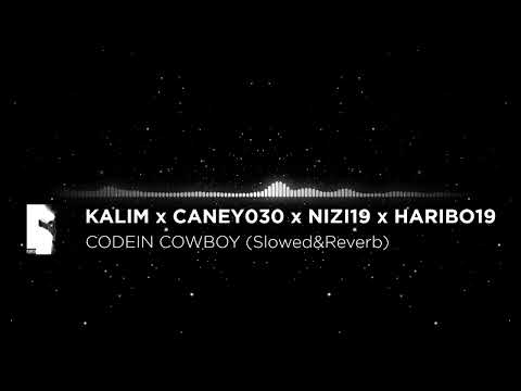 KALIM x CANEY030 x NIZI19 x HARIBO19 - CODEIN COWBOY (Slowed&Reverb)