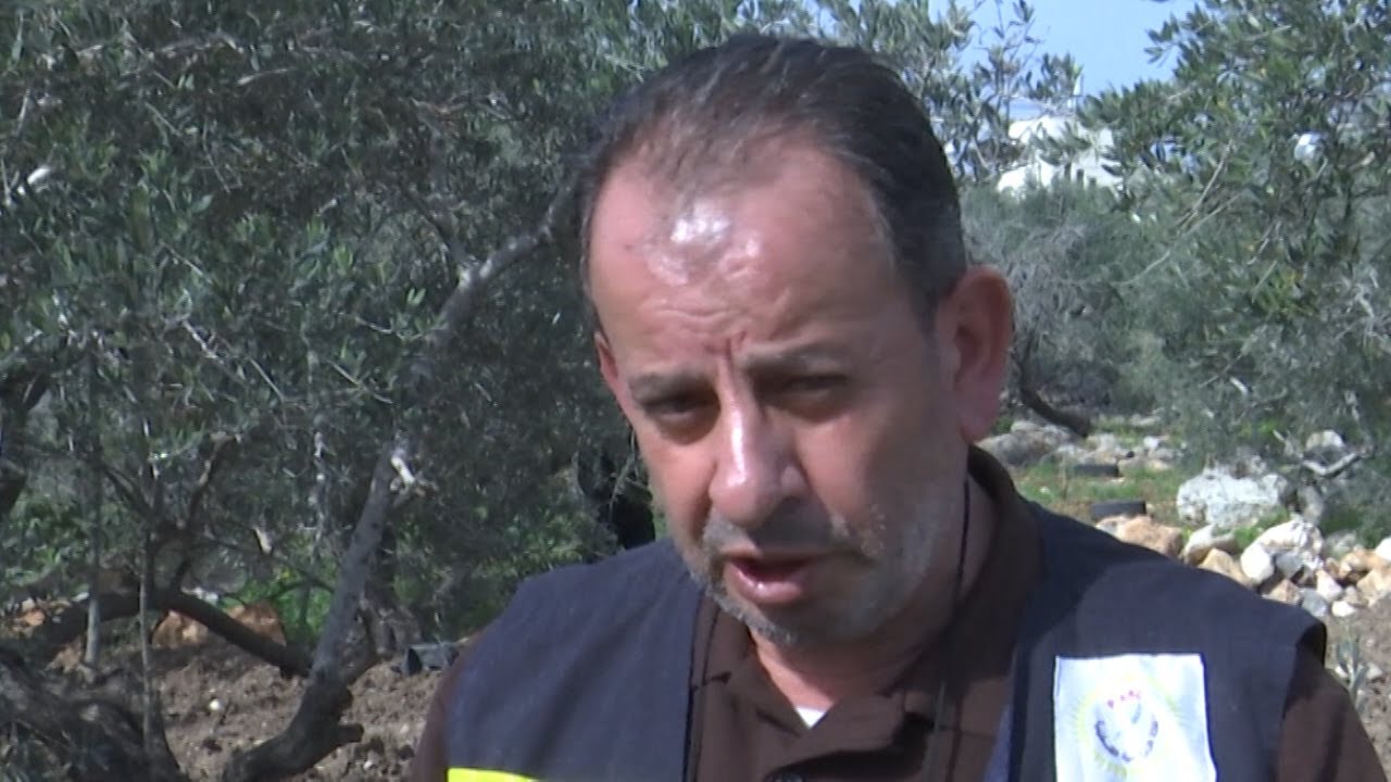 مشروع تحسين سبل عيش المزارعين وذلك بغرس اشجار الزيتون الذي تنفذه الاغاثة الزراعية والممول من مؤسسة التعاون وذلك في دير الغصون